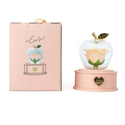 Plastic Preserved Rose with Necklace Eternal Rose Gifts Flower Jewelry Box Present for Valentines' Day Mother's Day Party Decors